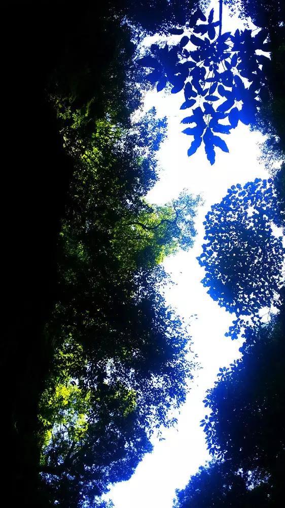 东方卫视《开播!情景喜剧》开播,李成儒在这档节目中与往前有何不同?-分享与探讨的社区平台