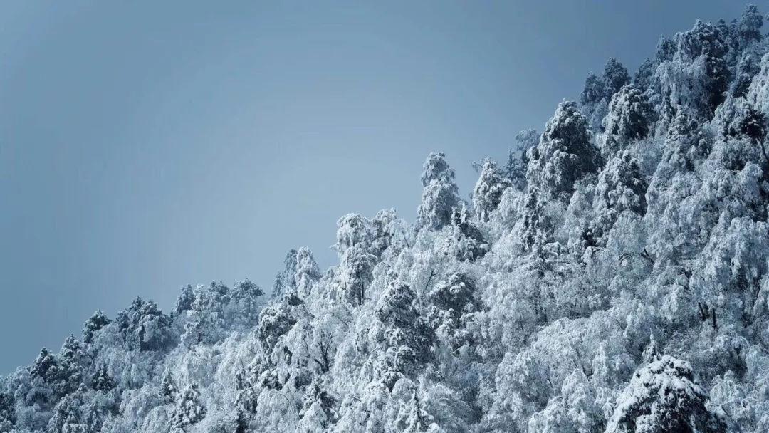 探索40岁后,骨密度检测筛查有必要吗?世界,发掘你的兴趣!